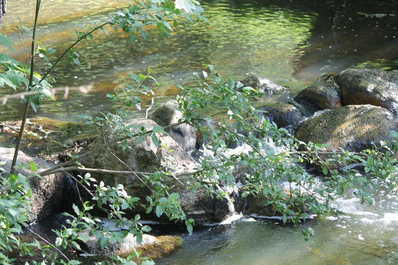 Szwajcaria Mazurska Villa Zawady Oleckie Bagian luar foto